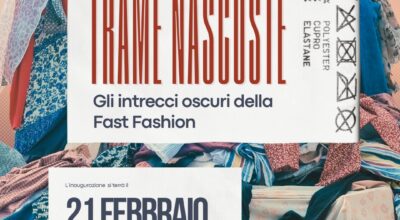 immagine dell'articolo