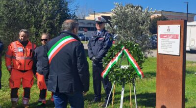 immagine dell'articolo
