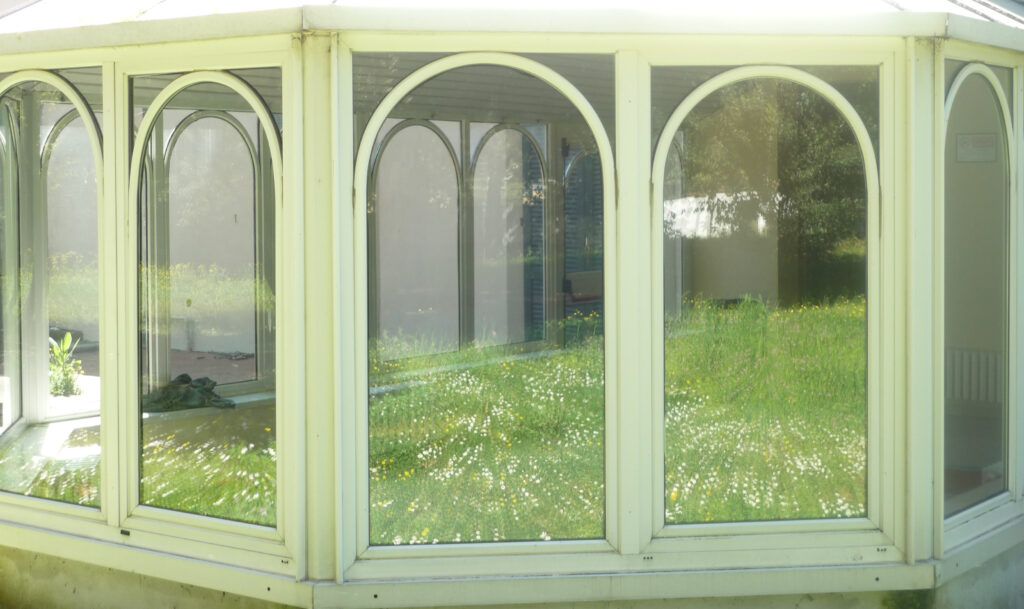 descrizione immagine