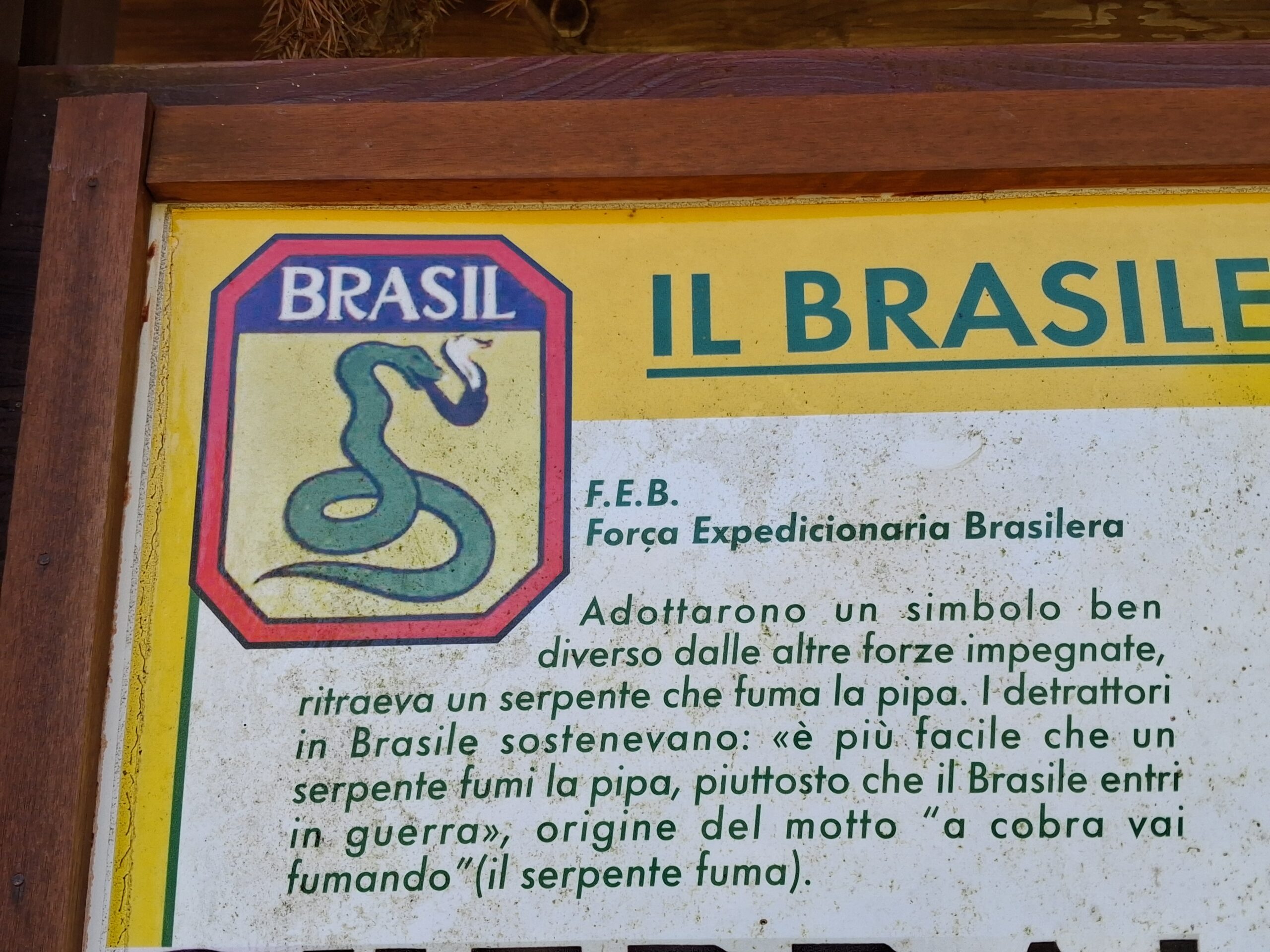 descrizione immagine