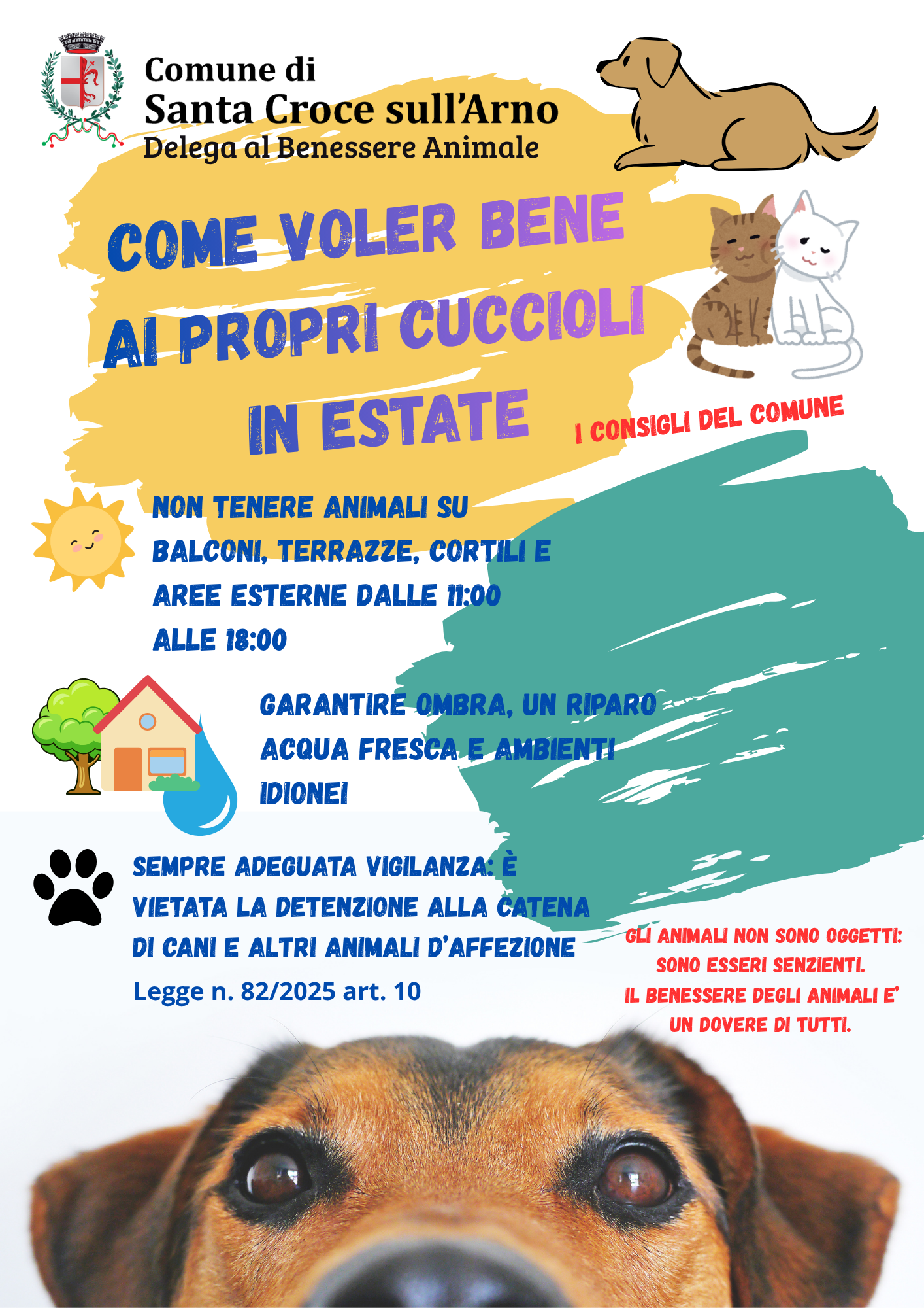 descrizione immagine